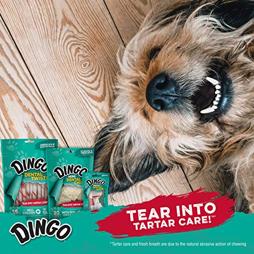 Dingo Denta Treats Teeth Whitening Mini Chews, 24 Pack
