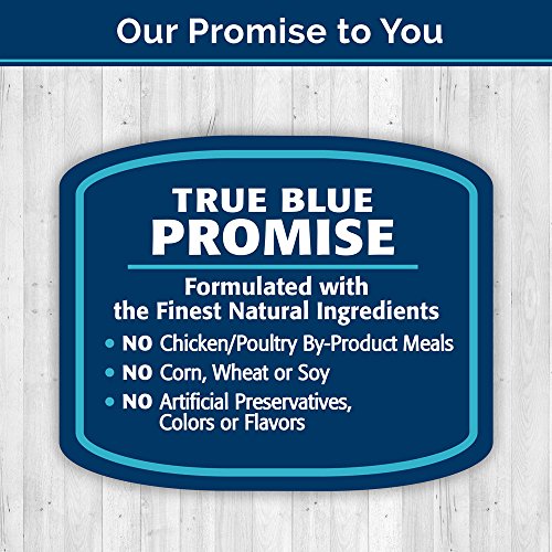 Blue Buffalo Health Bars Natural Crunchy Dog Treats Biscuits, Apple & Yogurt 16-oz bag