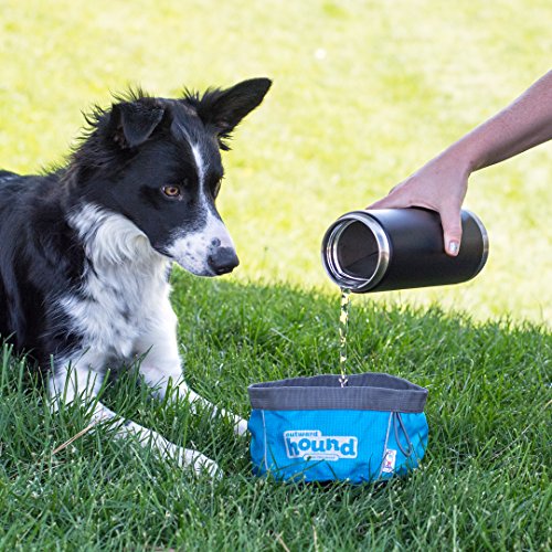 Outward Hound Port-A-Bowl Collapsible Travel Dog Food and Water Bowl
