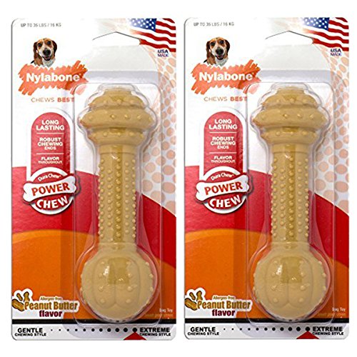 Nylabone Dura Chew Medium Peanut Butter Flavored Barbell Dog Chew Toy - 2 Pack
