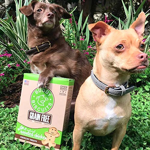 Buddy Biscuits, Grain Free Oven Baked Crunchy & Teeny Treats for Small or Toy Breed dogs with Natural Flavor