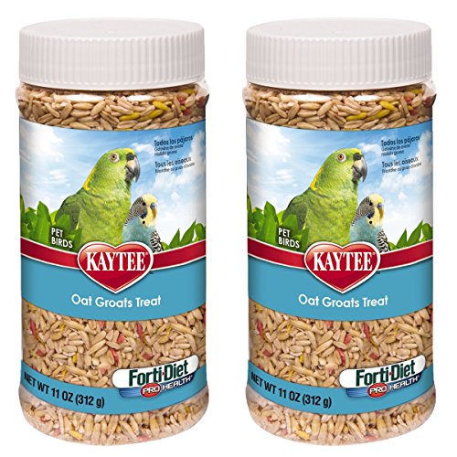 Kaytee Forti-Diet Pro Health Oat Groats Bird Treat, 22 oz