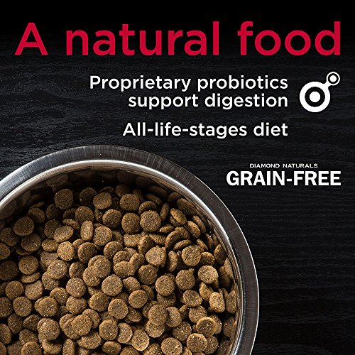 Diamond Naturals Grain Free Real Meat Recipe Premium Dry Dog Food with Real Fish 5lb